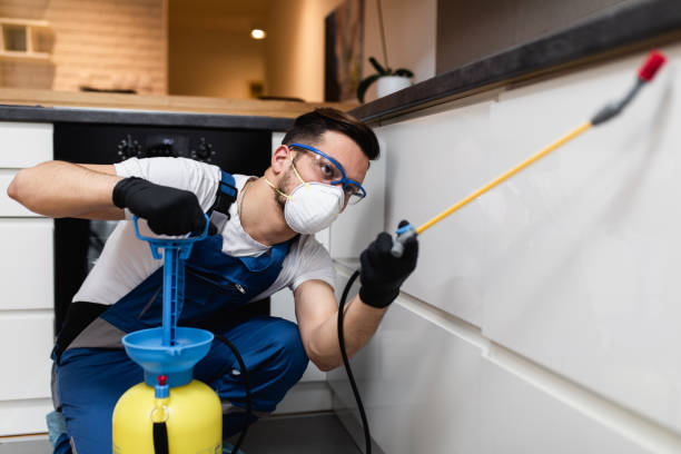 Best Pest Control Treatment  in Clarendon Hls, IL