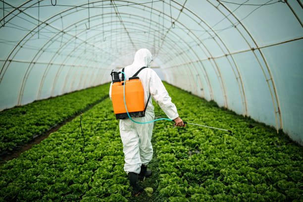 Best Ant Control Services  in Clarendon Hls, IL