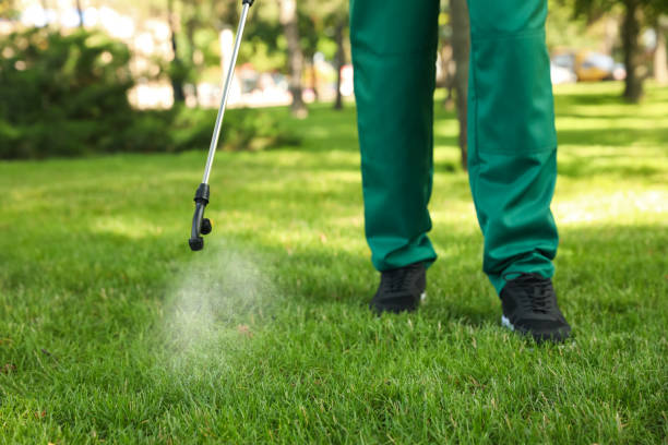Best Cockroach Control Services  in Clarendon Hls, IL