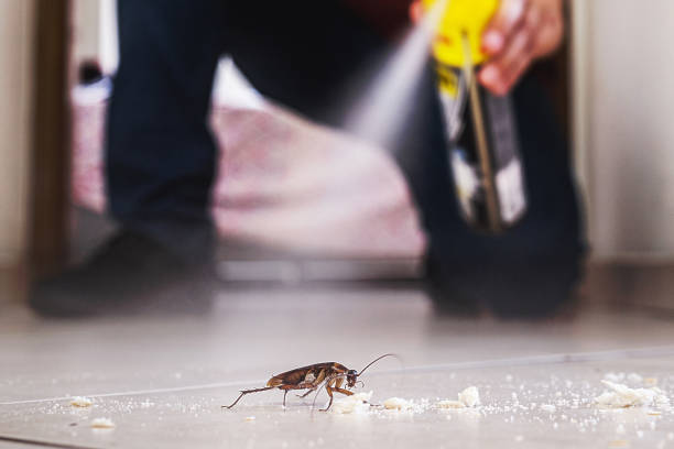 Best Mosquito Control Services  in Clarendon Hls, IL