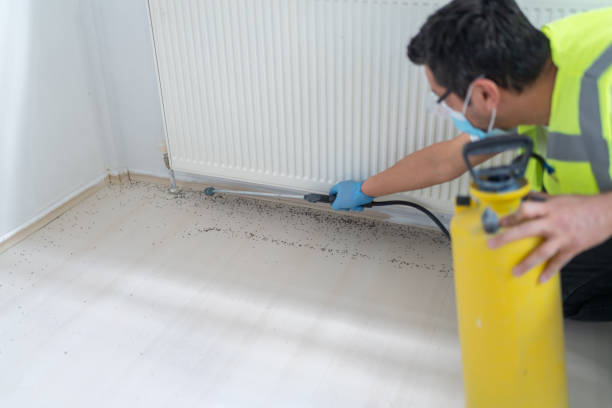 Best Emergency Pest Control  in Clarendon Hls, IL